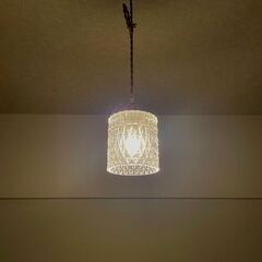 ペンダントライト オーム電機 ガラスセード Aタイプ 電球付 照...