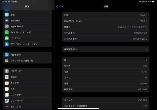 【Apple Pencil Pro付き】Apple iPad Pro 11-inch 第3世代 128GB WiFi + cellul