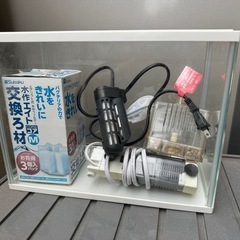 小型水槽　色々とおまけ