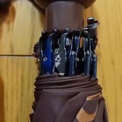 【未使用品】折りたたみ傘　①の画像