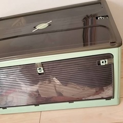 収納ボックス　折りたたみ式　衣装ケース