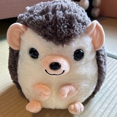 ぬいぐるみ　ハリネズミ