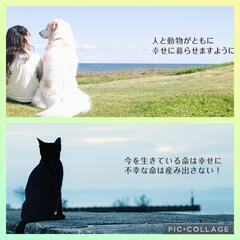 動物保護活動支援のご協力お願いいたします
