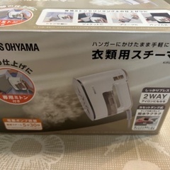アイリスオーヤマ 衣類用スチーマー アイロン KIRS01