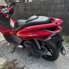 pcx125の画像