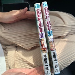 【ONE PIECE】コミック百八巻、百九巻（２冊）の画像