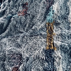 絨毯　無料の画像