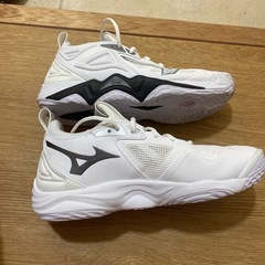 バレーボールシューズ 25.5cmの画像