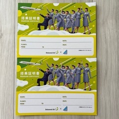 【限定品】日向坂 搭乗証明書 2枚セット ソラシドエア