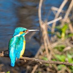 野鳥や星雲も撮影 『やさしい写真教室』 小田原･日曜日開催の画像