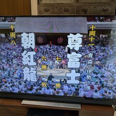 東芝レグザ（REGZA）　55BM620X、43BM620X　ジ...