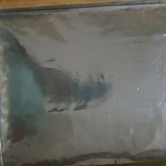 茶箱　縦４９×横３３×深さ３９ｃｍの画像