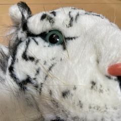 虎　壁掛けの画像