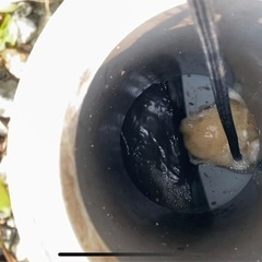 排水管つまり、油詰まり゛の画像