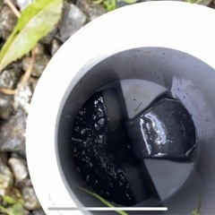 排水管つまり、油詰まり゛の画像