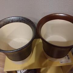 美濃焼 からん 鈴音 ペアカップの画像