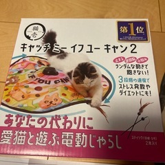 🐱猫壱 キャッチ ミー イフ ユーキャン２新品同様の画像