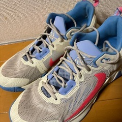 ②ナイキ　バッシュ　ヤニスイモータリティの画像