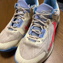 ②ナイキ　バッシュ　ヤニスイモータリティの画像