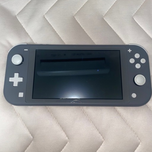 ニンテンドーSwitch light グレー(箱あり、充電器あり、保護フィルム貼付済、別売の透明保護カバー付)
