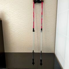 【スポーツの秋！】ノルディックウォーキング用のポール