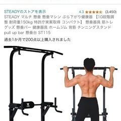 STEADY 懸垂マシンの画像