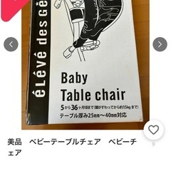 【今月末中で処分予定】折り畳み可、ベビー用テーブルチェアの画像