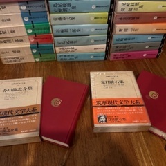 筑摩現代文学体系の画像