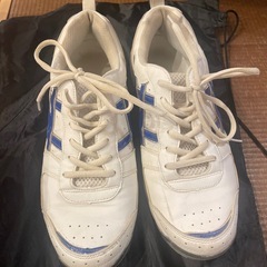 宮島工業高校　体育用運動靴27センチ