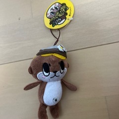 しんじょう君
