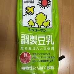 豆乳　リュック　レア‼️