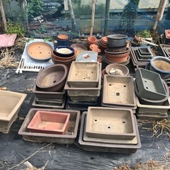 生活雑貨 家庭用品 ガーデニングの画像