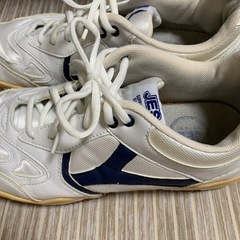 体育館シューズの画像