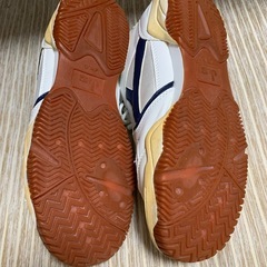 体育館シューズの画像