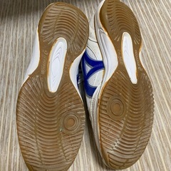 体育館シューズの画像