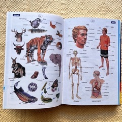 Longman Active Study Dictionary ハードカバーの画像