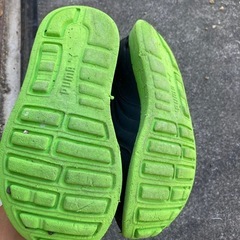 マリンシューズ、プーマの画像