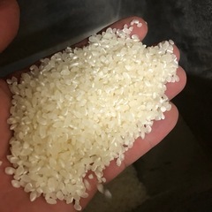 【令和6年新米】コシヒカリ　　限定2袋の画像