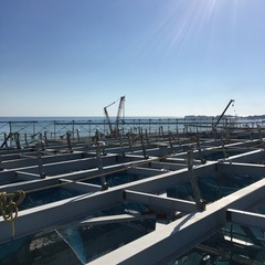 鉄骨鳶・橋梁特殊の画像