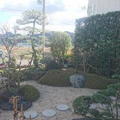 植木の剪定作業員を探しています‼️技術次第で17000円迄日払い...
