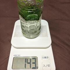 ●期間限定２本で500円●ミジンコ浮草◯仁丹藻◯ワンコイン◯約１...