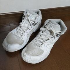 アシックス　バスケットボールシューズ