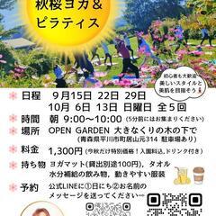 🌼秋桜ヨガ＆ピラティスで美ボディと美肌をめざそう🧘‍♀