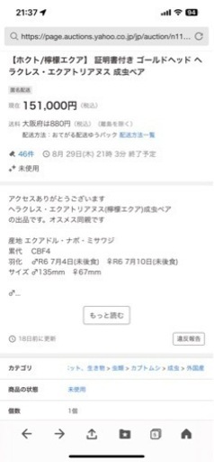 【ホクトさん直購入/檸檬エクア】 証明書付き ゴールドヘッド ヘラクレス・エクアトリアヌス 成虫ペア 