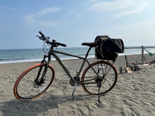 specialized(スペシャライズド) MTB 今週まで