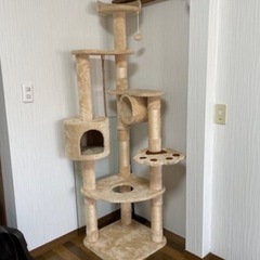 【おまけ付】キャットタワー&爪研ぎタワー