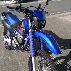 ヤマハTT250R   オフロードバイク1998年
の画像