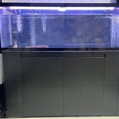 超美品 　1200 水槽　フルセット　