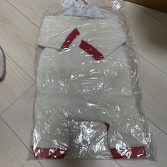 ディズニー　プレオール　新品の画像