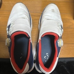 ゴルフシューズcallaway26.5